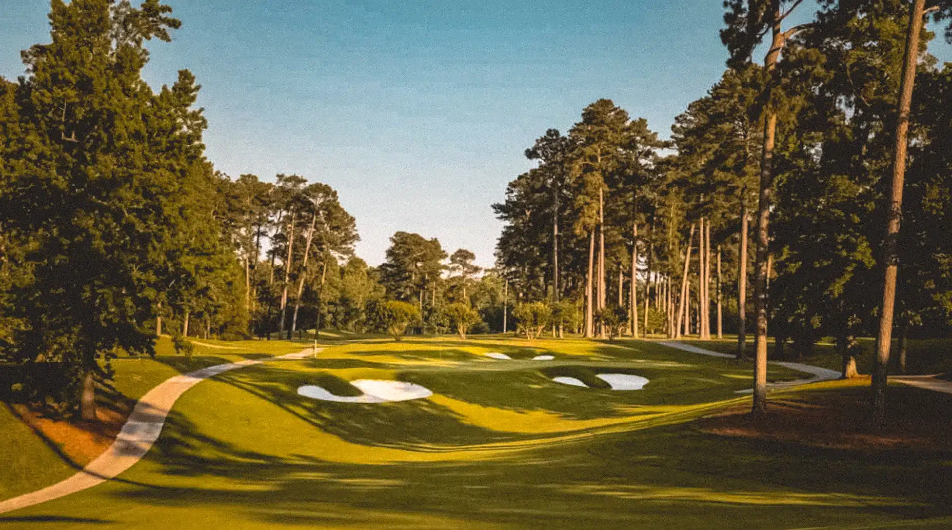 Golf Course Tree Care